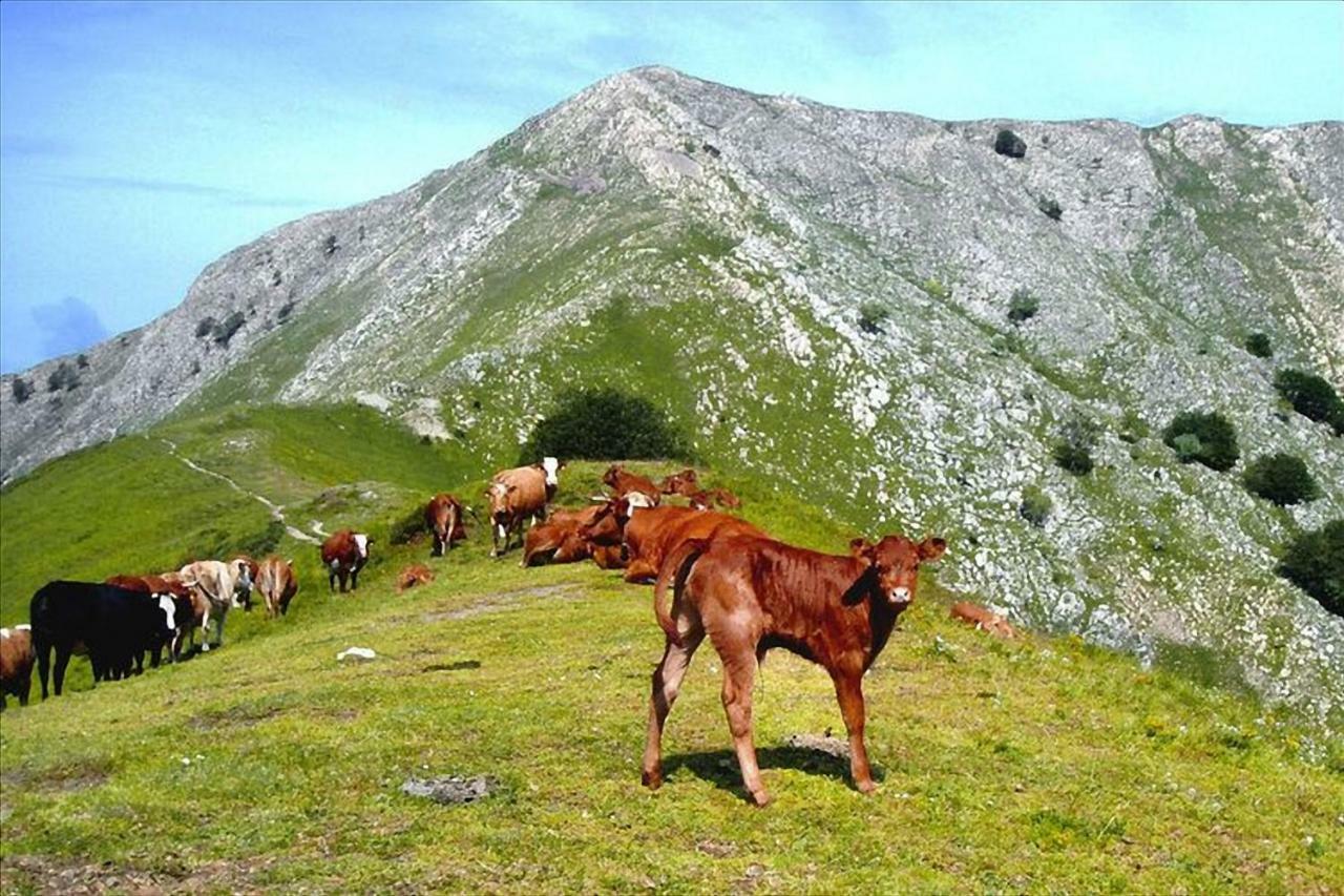 Casa Bel Villa Pescaglia Dış mekan fotoğraf